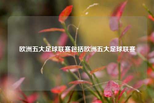 欧洲五大足球联赛包括欧洲五大足球联赛