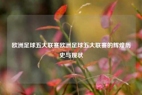 欧洲足球五大联赛欧洲足球五大联赛的辉煌历史与现状