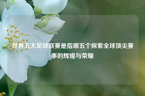 世界五大足球联赛是指哪五个探索全球顶尖赛事的辉煌与荣耀