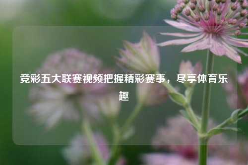 竞彩五大联赛视频把握精彩赛事，尽享体育乐趣
