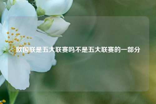 欧国联是五大联赛吗不是五大联赛的一部分
