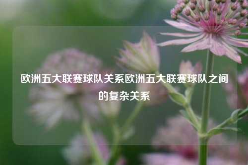 欧洲五大联赛球队关系欧洲五大联赛球队之间的复杂关系