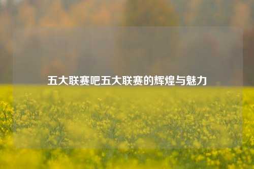 五大联赛吧五大联赛的辉煌与魅力