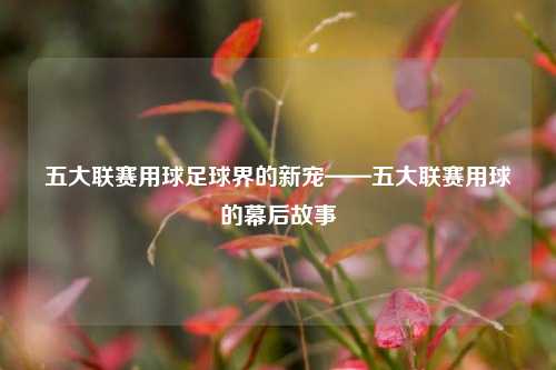 五大联赛用球足球界的新宠——五大联赛用球的幕后故事