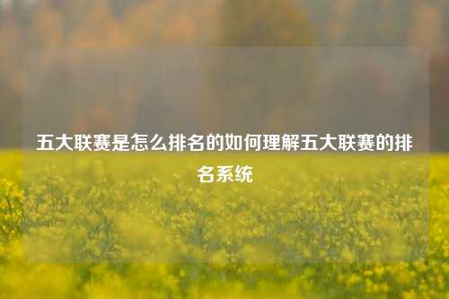 五大联赛是怎么排名的如何理解五大联赛的排名系统