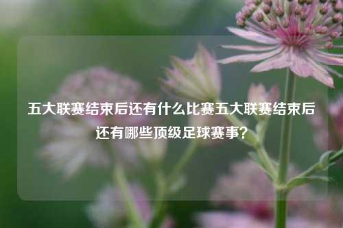 五大联赛结束后还有什么比赛五大联赛结束后还有哪些顶级足球赛事？