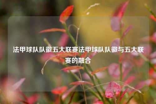 法甲球队队徽五大联赛法甲球队队徽与五大联赛的融合