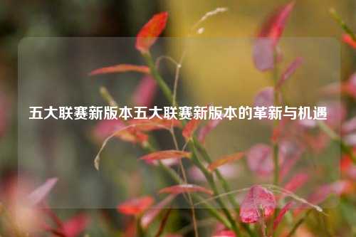五大联赛新版本五大联赛新版本的革新与机遇