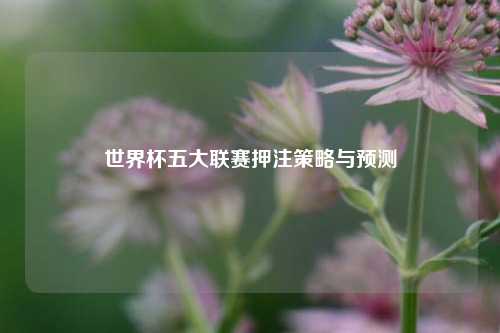 世界杯五大联赛押注策略与预测