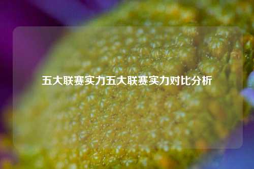 五大联赛实力五大联赛实力对比分析