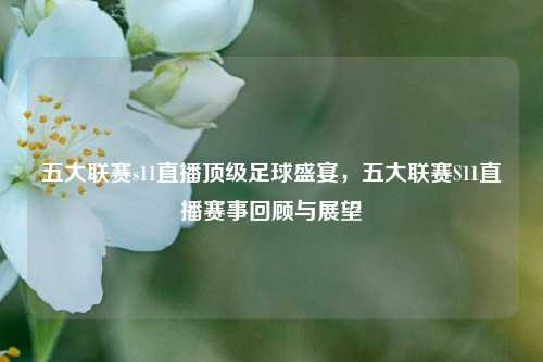 五大联赛s11直播顶级足球盛宴，五大联赛S11直播赛事回顾与展望