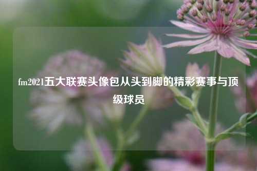 fm2021五大联赛头像包从头到脚的精彩赛事与顶级球员