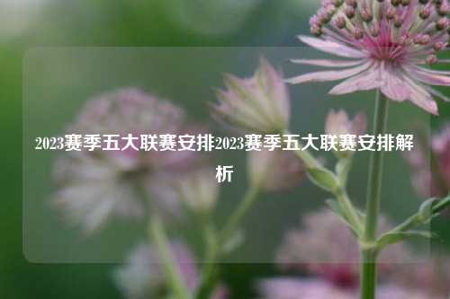 2023赛季五大联赛安排2023赛季五大联赛安排解析