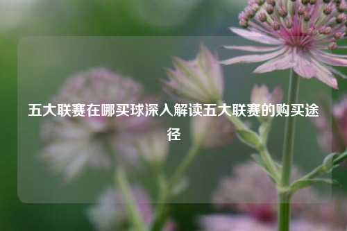 五大联赛在哪买球深入解读五大联赛的购买途径