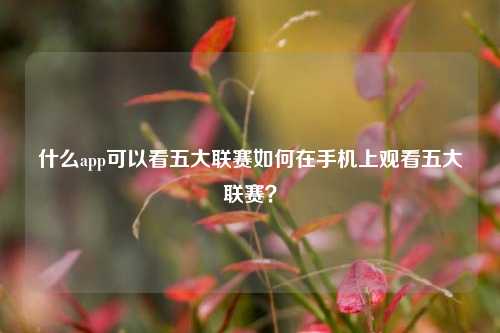 什么app可以看五大联赛如何在手机上观看五大联赛？