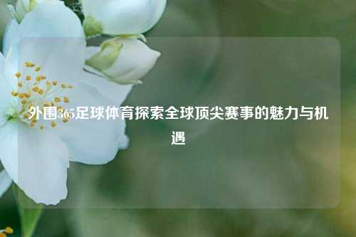 外围365足球体育探索全球顶尖赛事的魅力与机遇