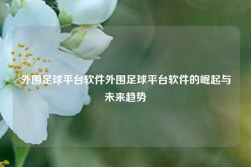 外围足球平台软件外围足球平台软件的崛起与未来趋势