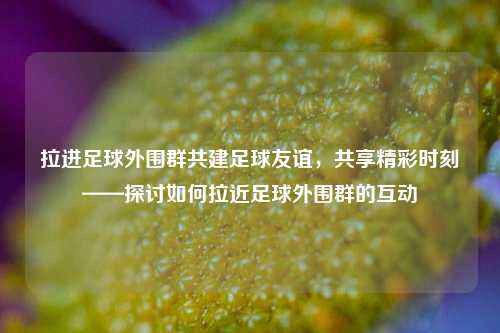 拉进足球外围群共建足球友谊，共享精彩时刻——探讨如何拉近足球外围群的互动