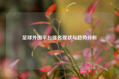 足球外围平台排名现状与趋势分析