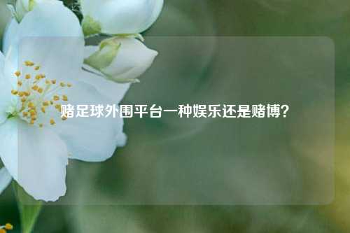 赌足球外围平台一种娱乐还是赌博？