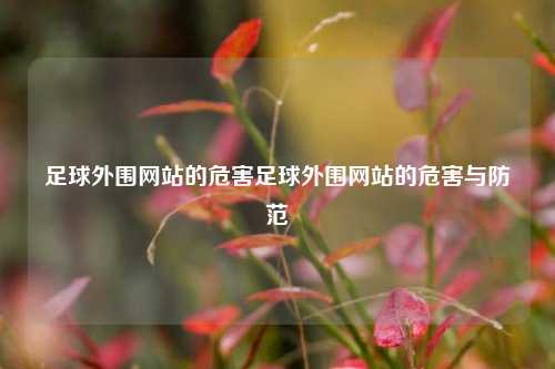 足球外围网站的危害足球外围网站的危害与防范