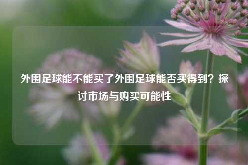 外围足球能不能买了外围足球能否买得到？探讨市场与购买可能性