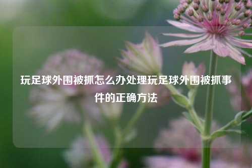 玩足球外围被抓怎么办处理玩足球外围被抓事件的正确方法