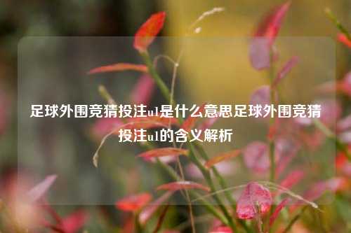 足球外围竞猜投注u1是什么意思足球外围竞猜投注u1的含义解析