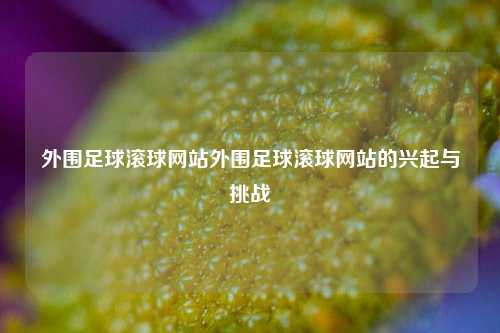 外围足球滚球网站外围足球滚球网站的兴起与挑战