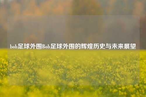 bob足球外围Bob足球外围的辉煌历史与未来展望