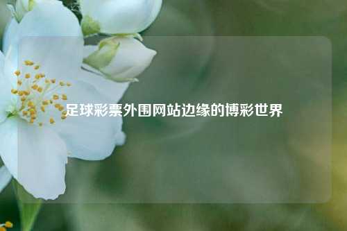 足球彩票外围网站边缘的博彩世界