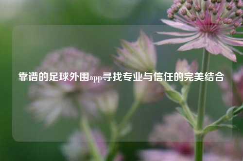 靠谱的足球外围app寻找专业与信任的完美结合